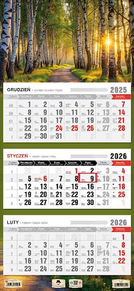 Kalendarz 2026 PK Ścienny Trójdzielny. Las