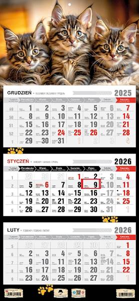 Kalendarz 2026 PK Ścienny Trójdzielny. Kotki