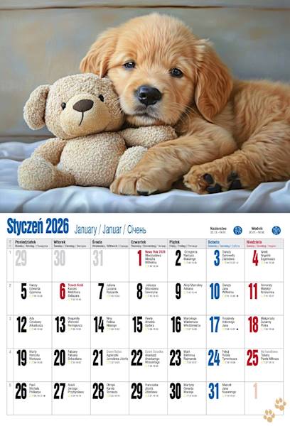 Kalendarz 2026 PK Albumowy Pieski