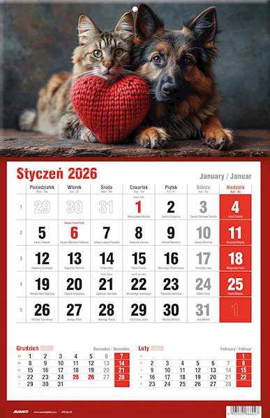 Kalendarz 2026 Avanti Jednodzielny KTJ Pies Kotek