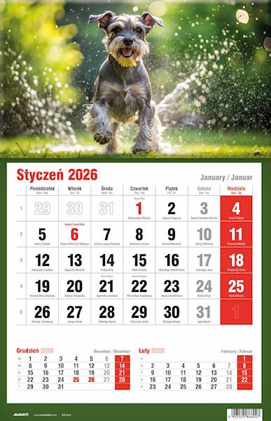 Kalendarz 2026 Avanti Jednodzielny KTJ Pies