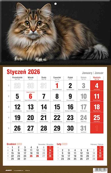 Kalendarz 2026 Avanti Jednodzielny KTJ Kotek