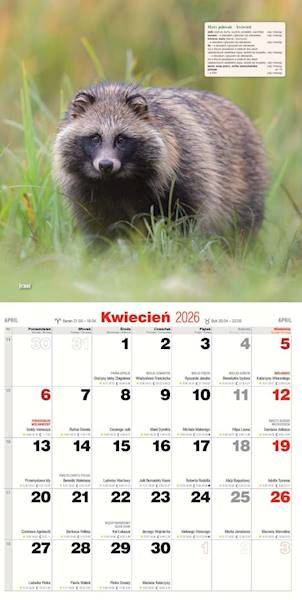 Kalendarz 2026 Avanti 30x30 Łowiecki