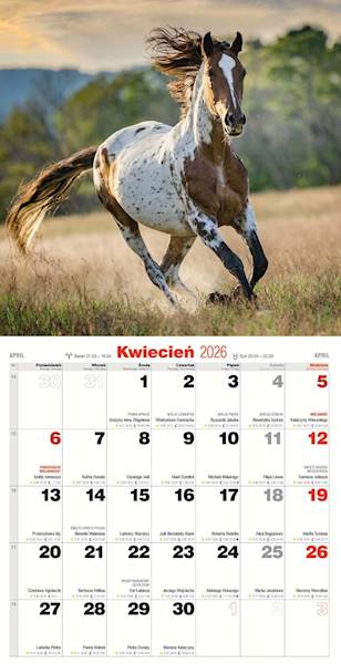 Kalendarz 2026 Avanti 30x30 Konie