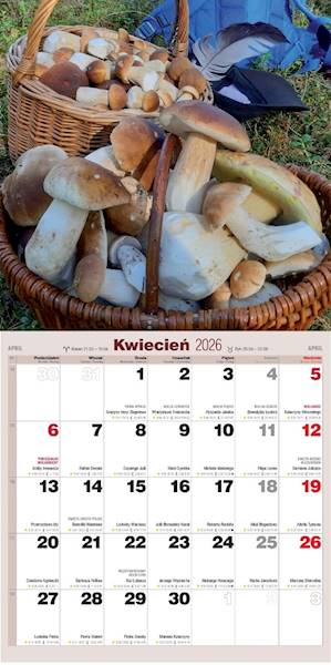 Kalendarz 2026 Avanti 30x30 Grzybiarza