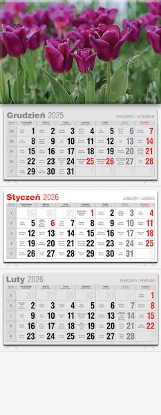 Kalendarz 2026 Avanti Trójdzielny LUX Tulipany