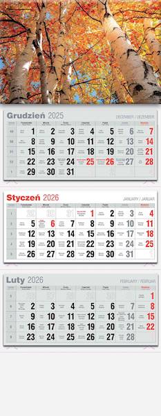 Kalendarz 2026 Avanti Trójdzielny LUX Jesień