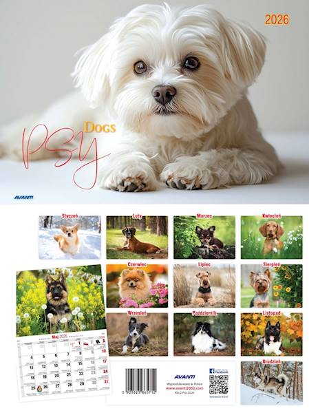 Kalendarz 2026 Avanti Ścienny Albumowy Psy