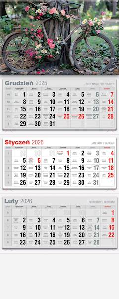 Kalendarz 2026 Avanti Trójdzielny LUX Rower
