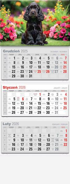 Kalendarz 2026 Avanti Trójdzielny LUX Pies