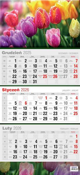 Kalendarz 2026 Avanti Ścienny Trójdzielny Tulipany