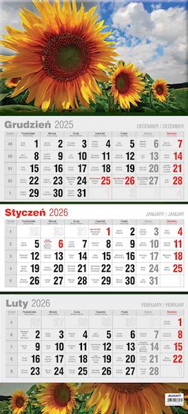 Kalendarz 2026 Avanti Ścienny Trójdzielny Słoneczn