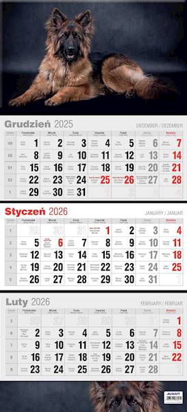 Kalendarz 2026 Avanti Ścienny Trójdzielny Pies