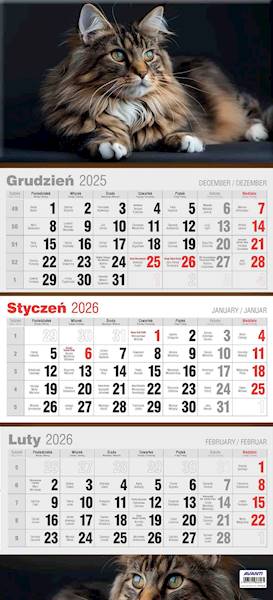 Kalendarz 2026 Avanti Ścienny Trójdzielny Kotek