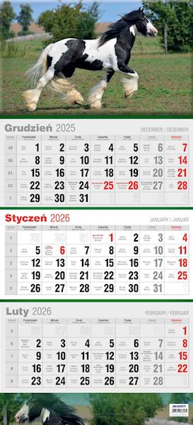 Kalendarz 2026 Avanti Ścienny Trójdzielny Koń