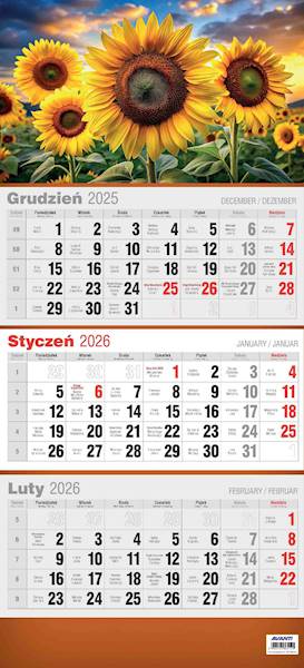Kalendarz 2026 Avanti Ścienny Trójdzielny 3D Słone