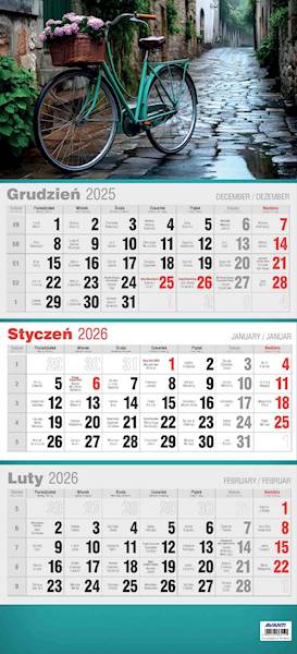 Kalendarz 2026 Avanti Ścienny Trójdzielny 3D Rower