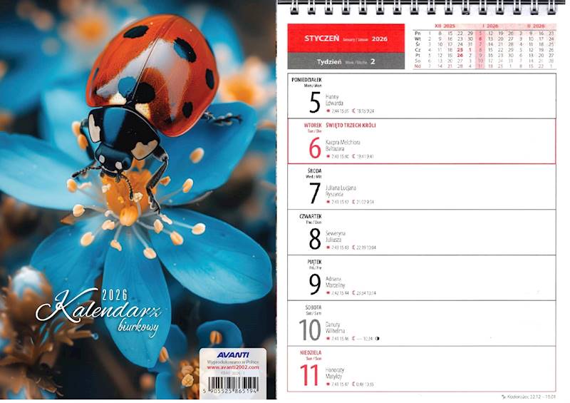 Kalendarz 2026 Avanti Biurkowy A5 pionowy Biedronk