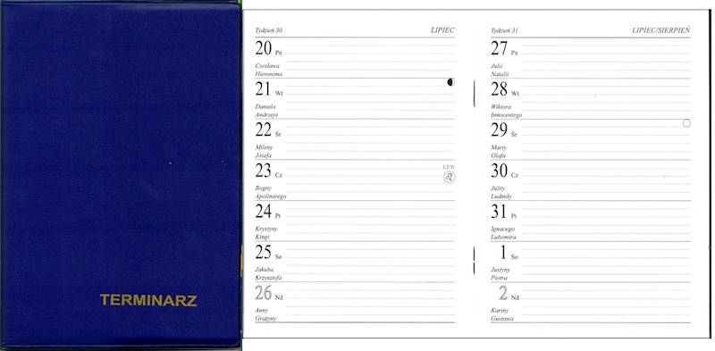 Terminarz 2026 Prolog A6 kieszonkowy Mini PCV nieb