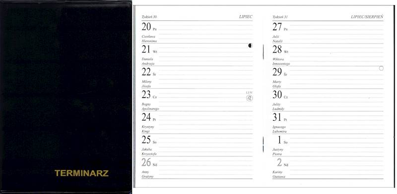 Terminarz 2026 Prolog A6 kieszonkowy Mini PCV czar
