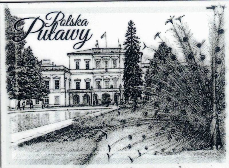 Magnes na lodówkę Zabytki Puławy 46x64mm wzór 39