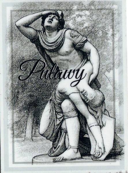 Magnes na lodówkę Zabytki Puławy 95x69mm wzór 43