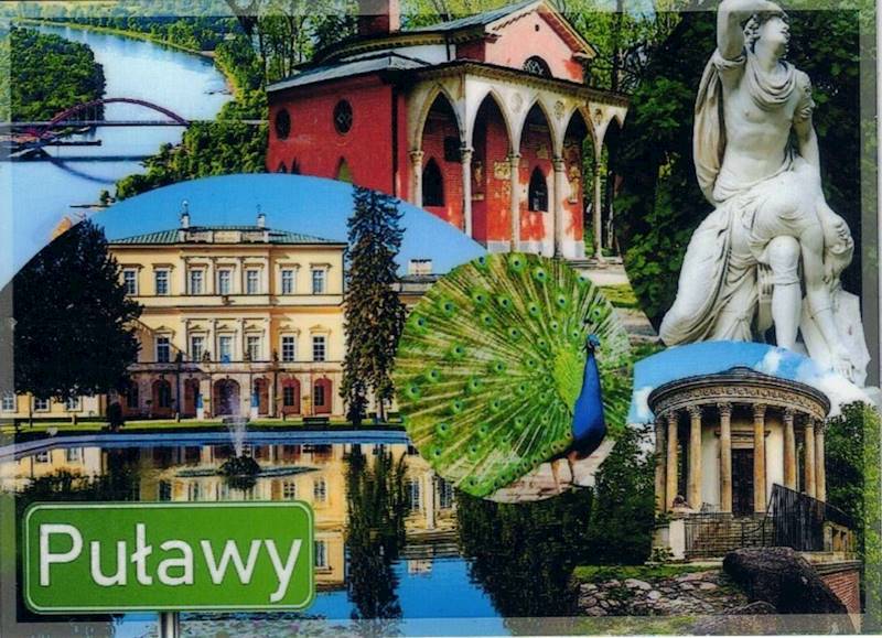 Magnes na lodówkę Zabytki Puławy 95x69mm wzór 36