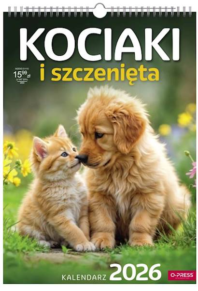 Kalendarz 2026 O-press A3 Ścienny Kociaki