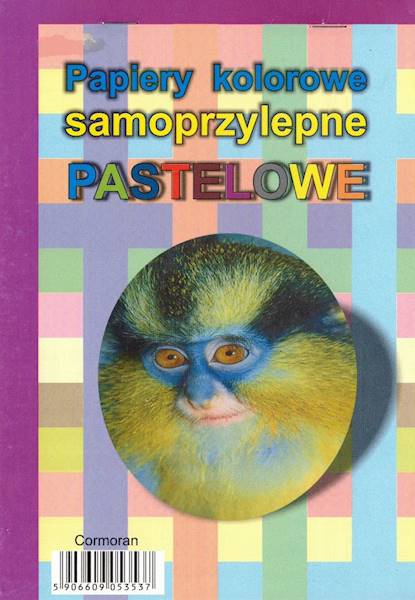 Zeszyt papierów samoprzylepnych A5 Pastelowe
