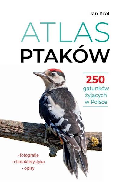 Atlas ptaków 250 gatunków żyjących w Polsce SBM 