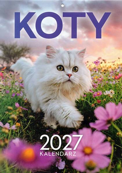 Kalendarz 2027 O-press A4 Ścienny Koty