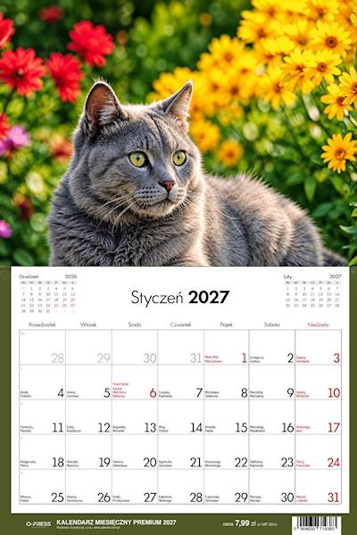 Kalendarz 2027 O-press Premium Miesięczny Kot
