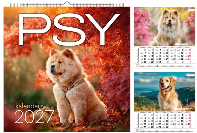 Kalendarz 2027 O-press 33x33 Ścienny Psy