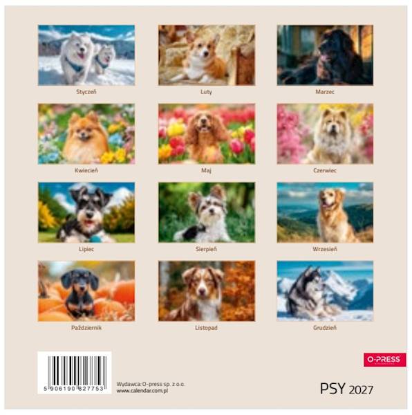 Kalendarz 2027 O-press 33x33 Ścienny Psy
