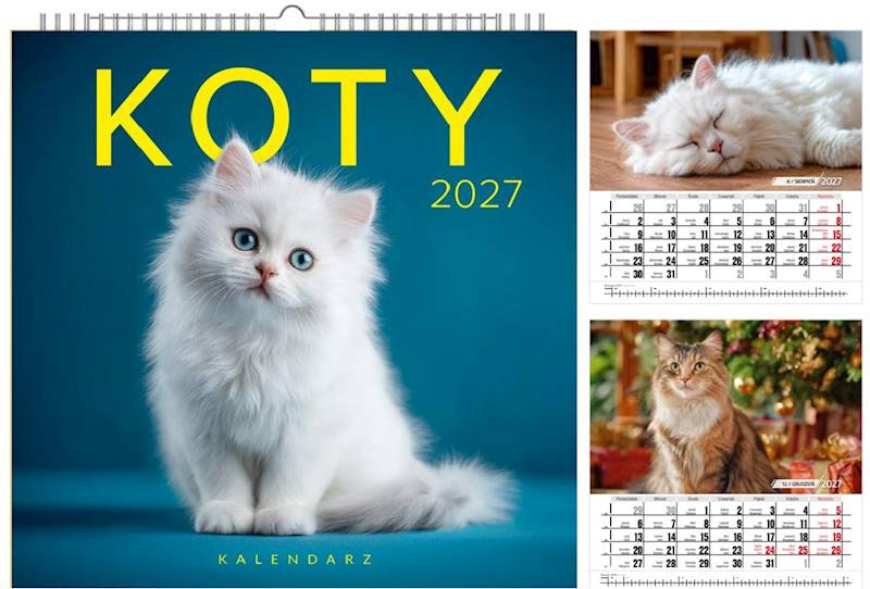Kalendarz 2027 O-press 33x33 Ścienny Koty