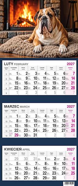 Kalendarz 2027 O-press Trójdzielny - Pies