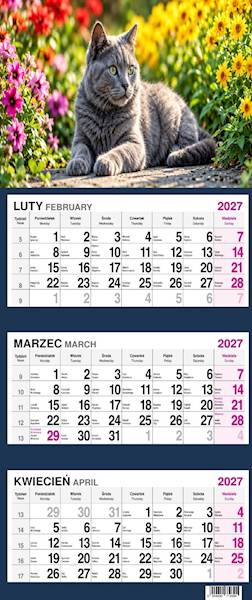 Kalendarz 2027 O-press Trójdzielny - Kot