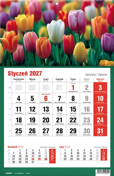 Kalendarz 2027 Avanti Jednodzielny KTJ Tulipany Ko