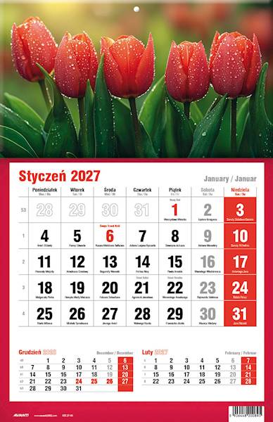 Kalendarz 2027 Avanti Jednodzielny KTJ Tulipany