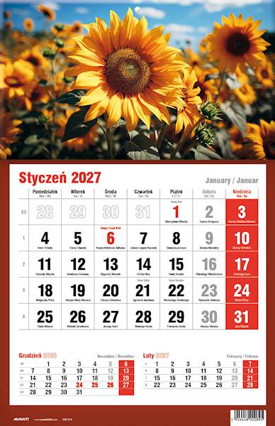 Kalendarz 2027 Avanti Jednodzielny KTJ Słoneczniki