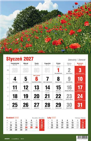 Kalendarz 2027 Avanti Jednodzielny KTJ Pole Maki