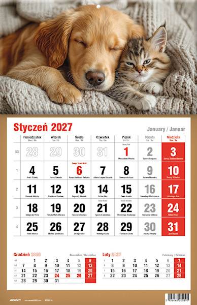 Kalendarz 2027 Avanti Jednodzielny KTJ Pies Kotek