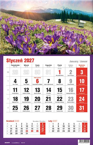 Kalendarz 2027 Avanti Jednodzielny KTJ Krokusy
