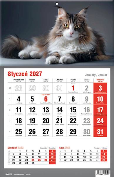 Kalendarz 2027 Avanti Jednodzielny KTJ Kotek