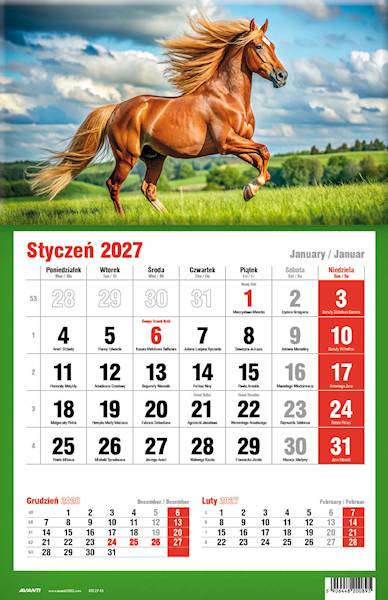 Kalendarz 2027 Avanti Jednodzielny KTJ Koń