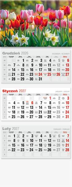 Kalendarz 2027 Avanti Trójdzielny LUX Tulipany