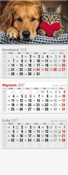 Kalendarz 2027 Avanti Trójdzielny LUX Pies Kotek