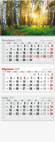Kalendarz 2027 Avanti Trójdzielny LUX Las