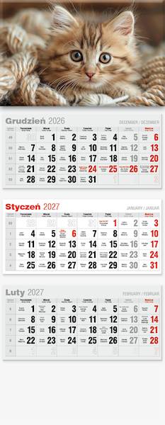 Kalendarz 2027 Avanti Trójdzielny LUX Kotek