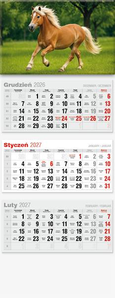 Kalendarz 2027 Avanti Trójdzielny LUX Koń